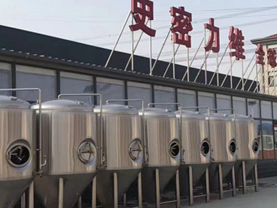 潍坊精酿啤酒设备厂—如何判断精酿啤酒设备的密封件需要更换？